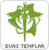 6853e68778caa_elf_evas_templar.png