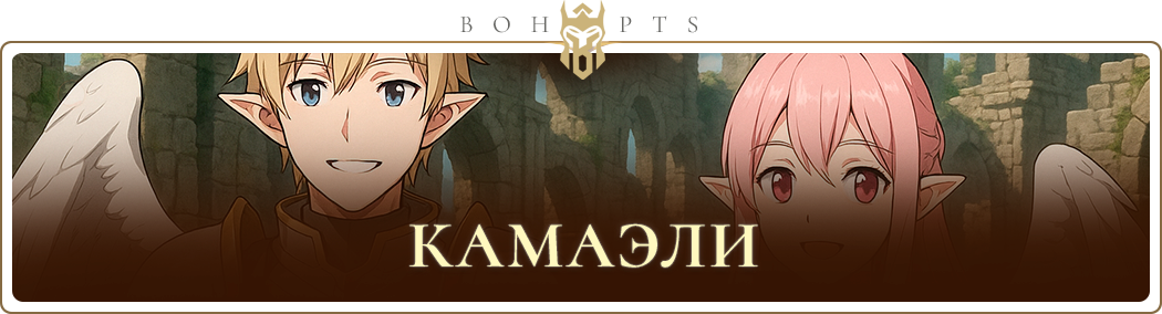 68a99d5fe6029_kamaels_ru.png