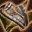 unnamed_7.webp