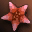 xeojk7bl6m.webp