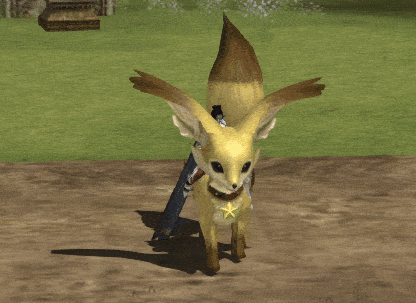 desert_fox_2.gif