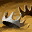 skill0470_1.png