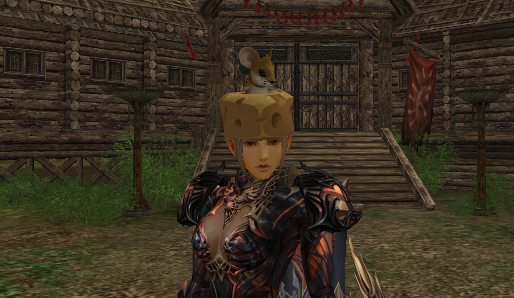 xkg3hiovne.webp